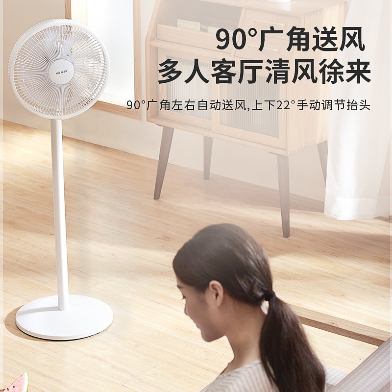 先锋（Singfun）电风扇落地扇...